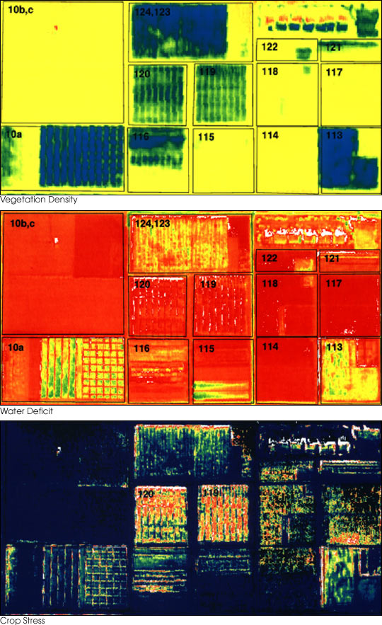 Biomass Estimation & Field Maps